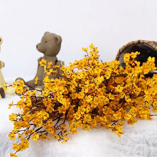 Jacaranda yellow