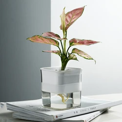 Small Planter Pot With Water Tank Self Watering Plastic Square Hydroponic Pot Planter For Flowers Pot Desktop Home Decoration