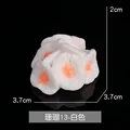 13 Coral White