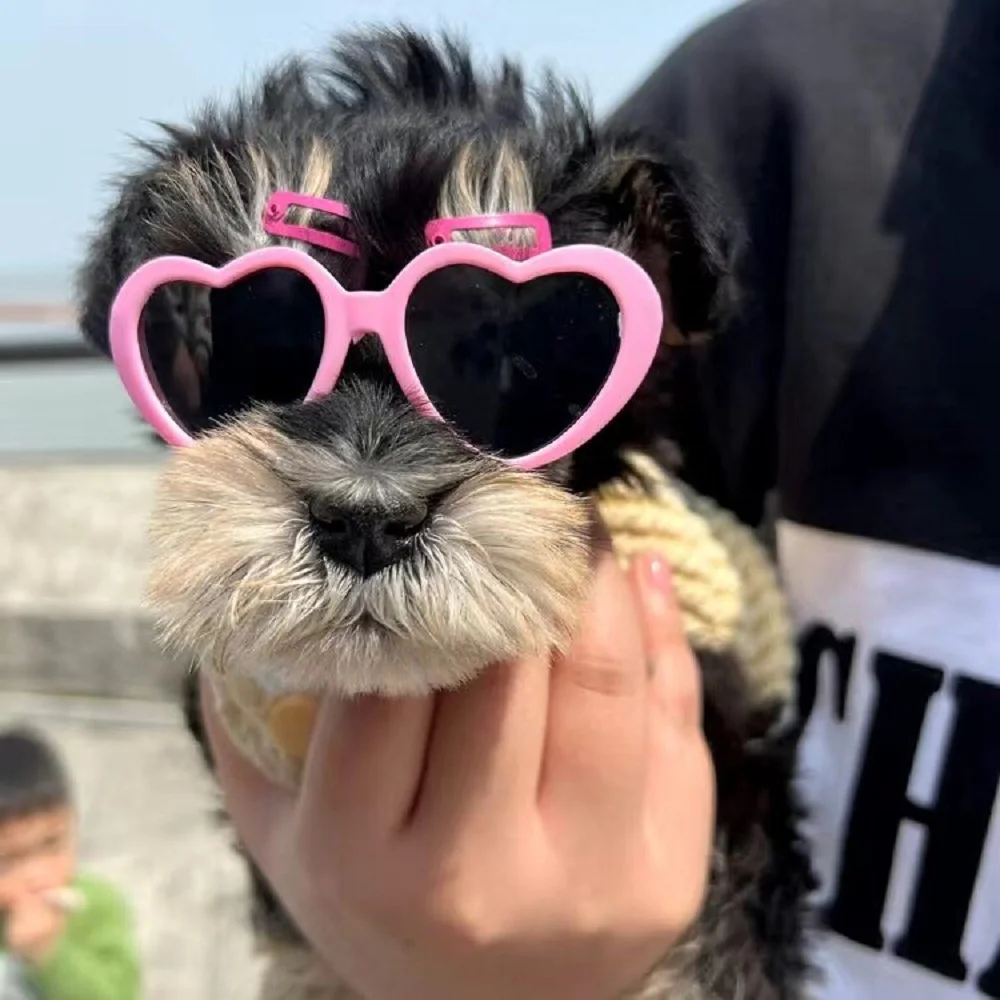 Premium Dog and Cat Sunglasses with Adjustable Strap - UV Protection & Windproof Pet Gift