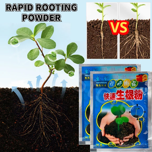 10 db A Gyökérnövekedéshez Palántákhoz Segíti Csírázást Virágzás Gyors Gyökérporja Elősegíti Növény Növekedését Erős Gyökérrendszer