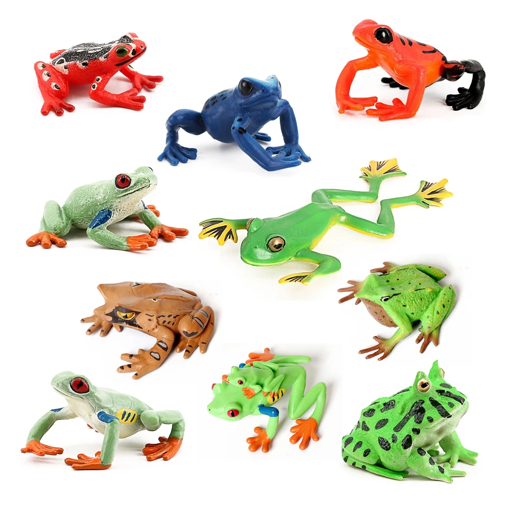 Rainforest Animals Frogs Figurines Tree Frog Rana Bullfrog