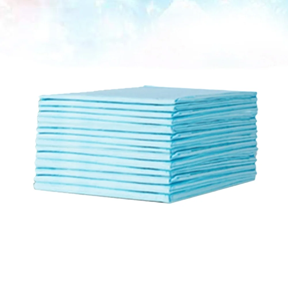  ������  ��ȸ�� ������, ��⼺ ��Ǳ� ħ�� �е�, ��� 20 ��