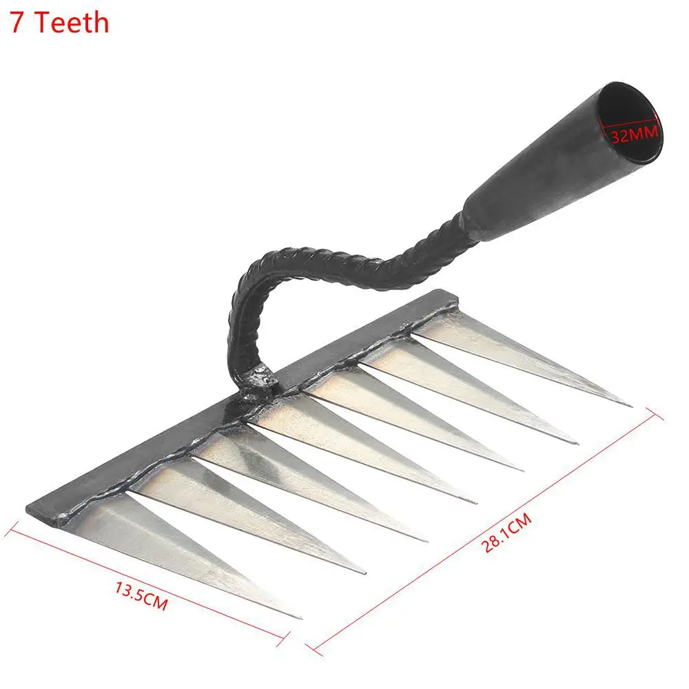 7 Teeth
