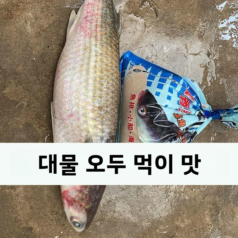 럭키 블랙헤드 레드테일 그린 낚시 미끼 믹스 로치 메기 바다 및 해수어 낚시 캠핑 여행 장비 낚시 알람