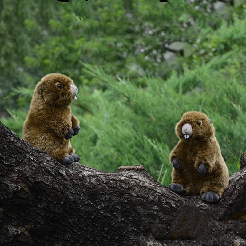 Peluche Marmotte Haute Fidélité, Jouets en Peluche Bobac, Simulation  d'Animaux Réalistes, Jouet Kawai en Peluche, Cadeaux pour Enfants -  AliExpress