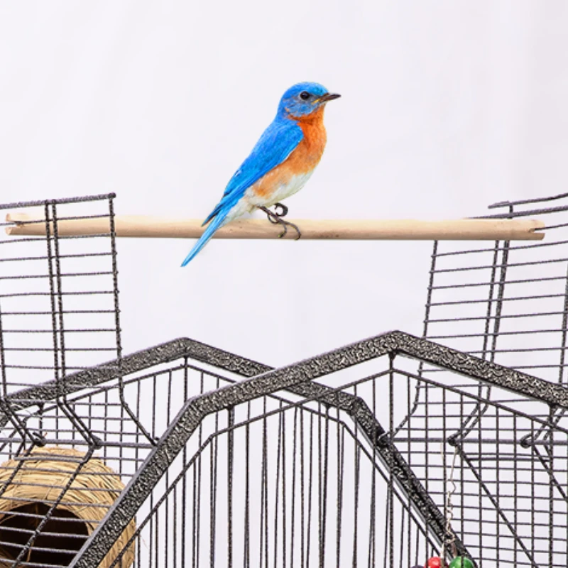 ANTIQUE COPPER VICTORIAN BIRDCAGE BIRD CAGE PET CANARY FINCH NICE