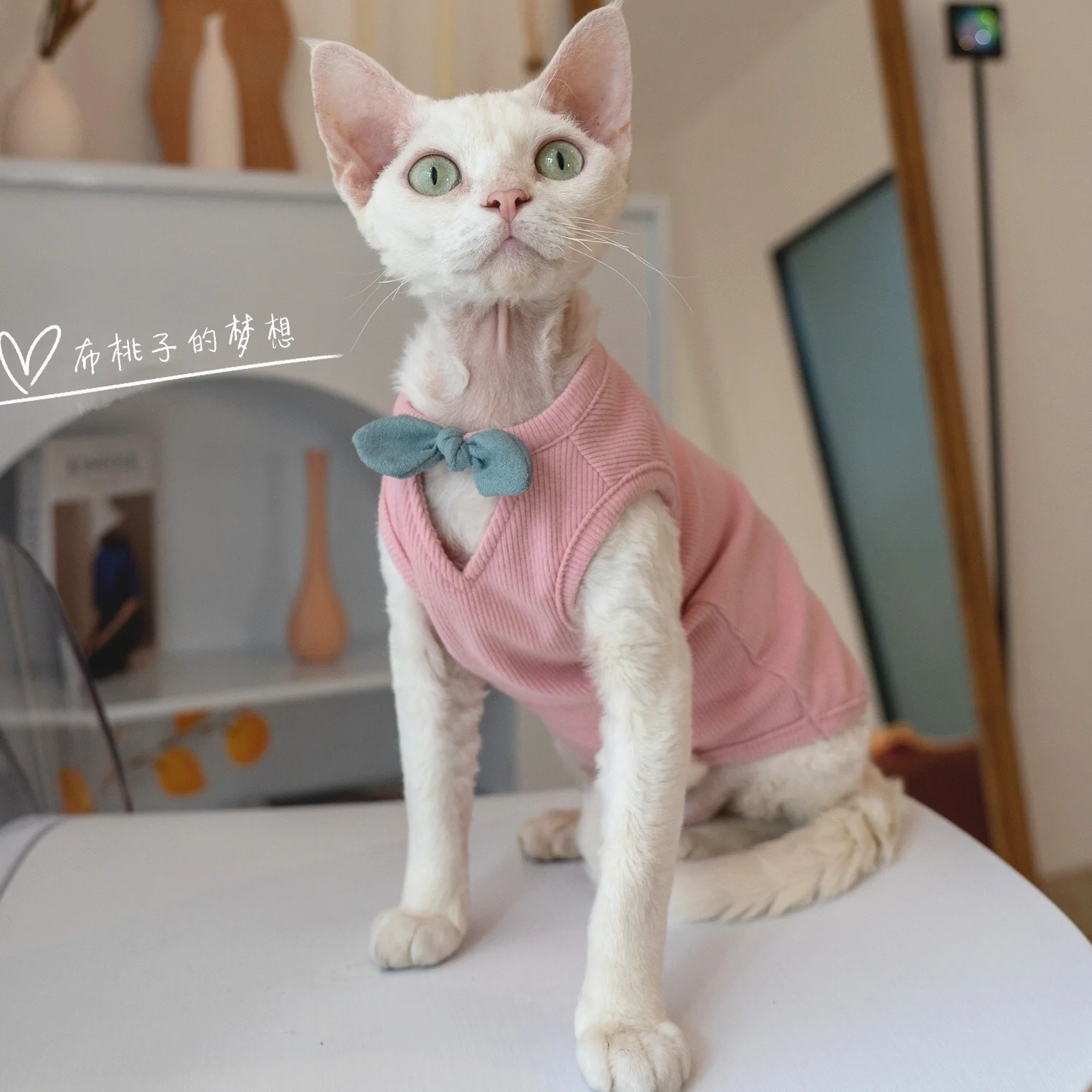 

Жилет Devon Rex с кошачьими мотивами, одежда для кошек с милым бантом и глубоким V-образным вырезом, стильная и удобная одежда для кошек без волос