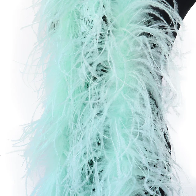 YOUTEXING 4/6/10Ply 2Meter Natural Ostrich Feather Boa Plumas for Costume  Party Wedding Decoration Plume Accessory Feather Boas (Color : Mint Green