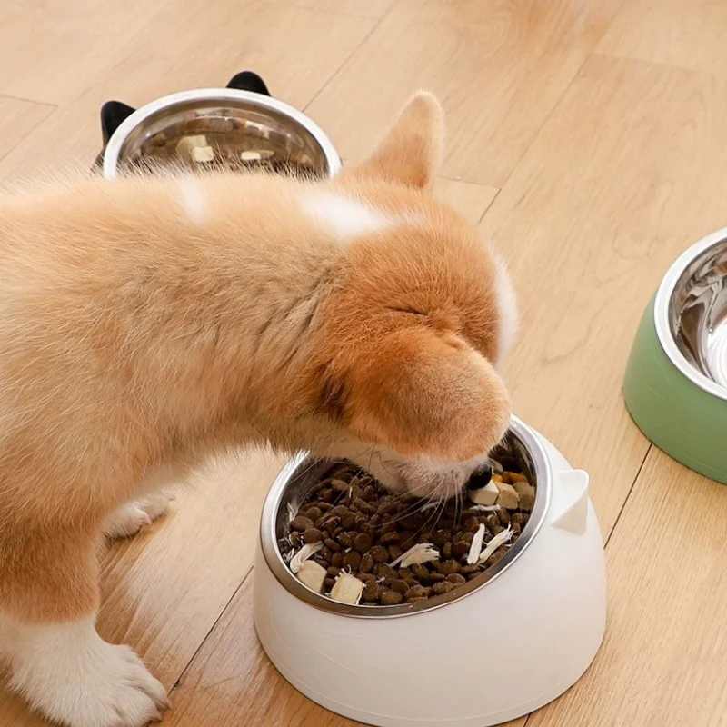 100ML Cat Dog Bowl 15 Degrees Raised Non Slip Puppy Base Food Drinking Water Feeder Tilt Safeguard Neck Pet Accessories pet food bowl