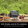 Outdoor Grill & Smoker 7-in-1 Air Fryer Bake Roast Broil uses Woodfire Pellets(1 Pack Included) Portable, Electric,Grey(Renewed) 2