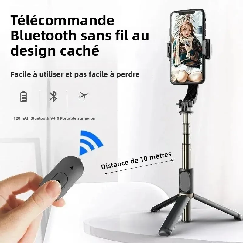 Télécommande amovible du gimbal stabilisateur 3 axes, montrant les boutons de contrôle.