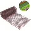 3-color Garden Cat Net Spike Mat Prickle Strips Anti Deterrent Keep Cat Scat Repellent Dog Away Digging Climbing Pets Supplies 4