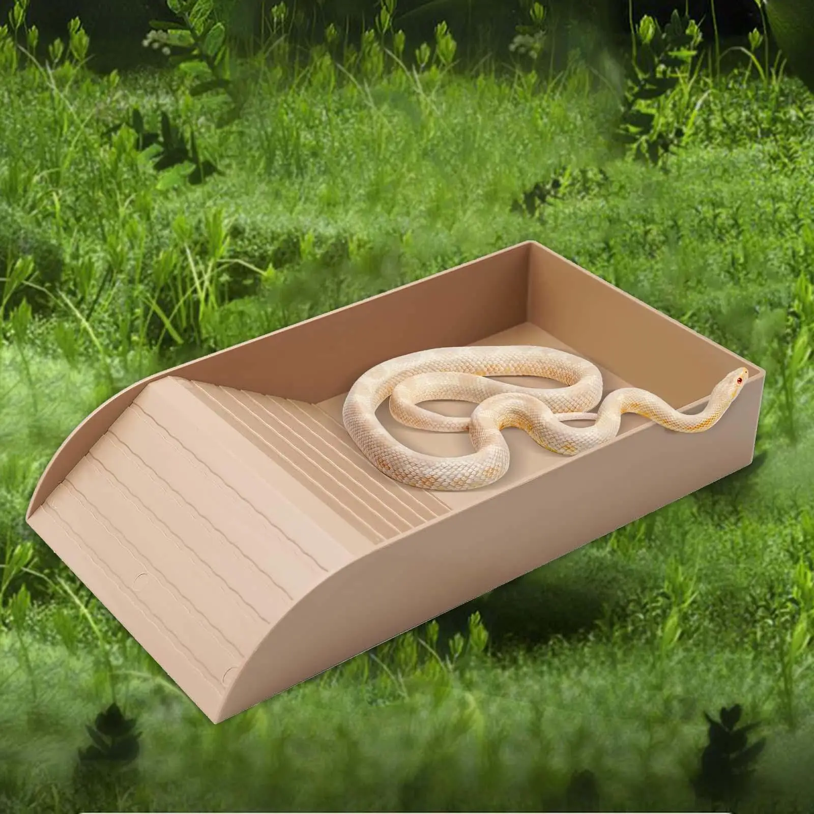 Reptile Water Bowl Reptile Bathing Pool Tortoise Feeder Tortoise Feeding Dish for Hamster Tortoise Snake