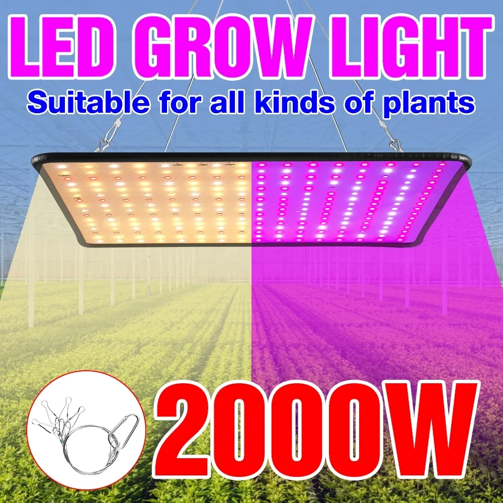 

LED Grow Light Full Spectrum Lamp Phyto Bulb Grow Plant Growth Light 1000W 2000W Hydroponic Light Indoor Flower Seeds Tent