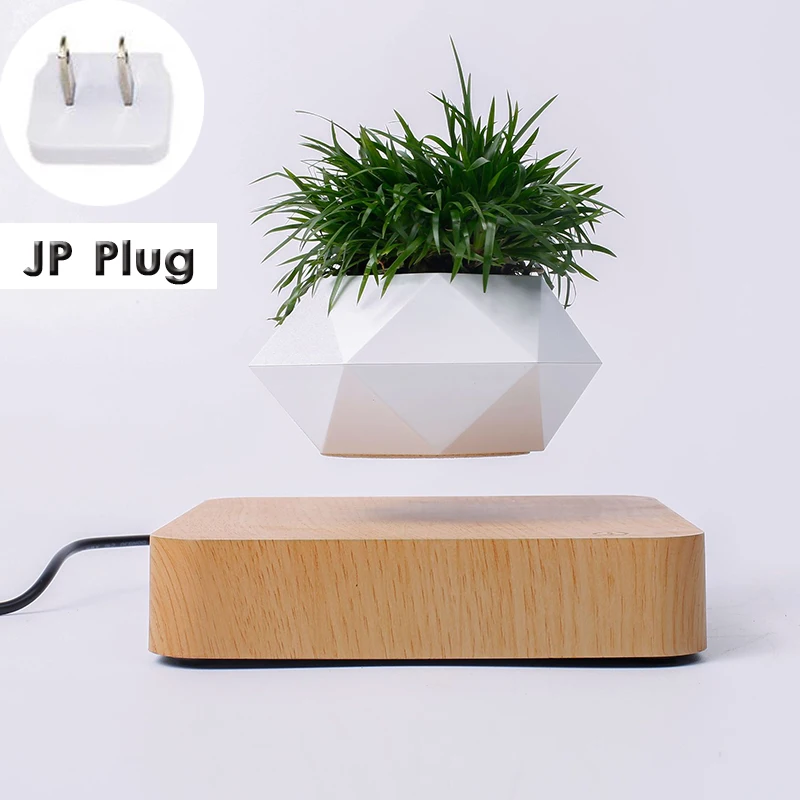 JP Plug