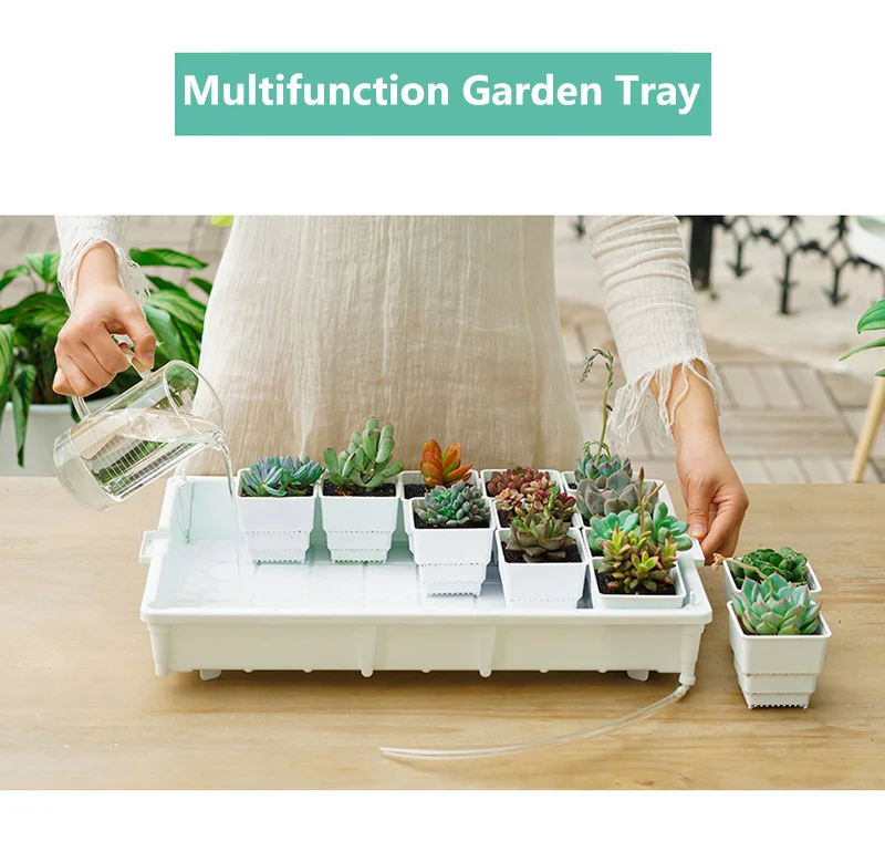 6cm quadratische saftige Töpfe mit Tablett becken Blumentopf Pflanzer für Kaktus Lithops Sammlung Home Decoration – Detail 4