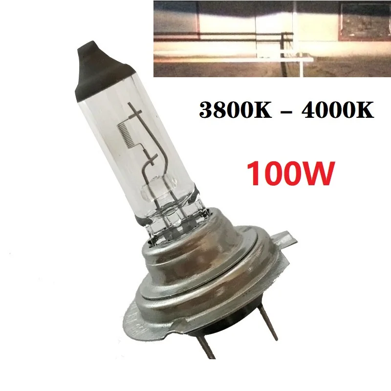2-Pack 6000K Ultra-Bright White Halogen Headlight Bulbs - 12V Car Replacement Lamps