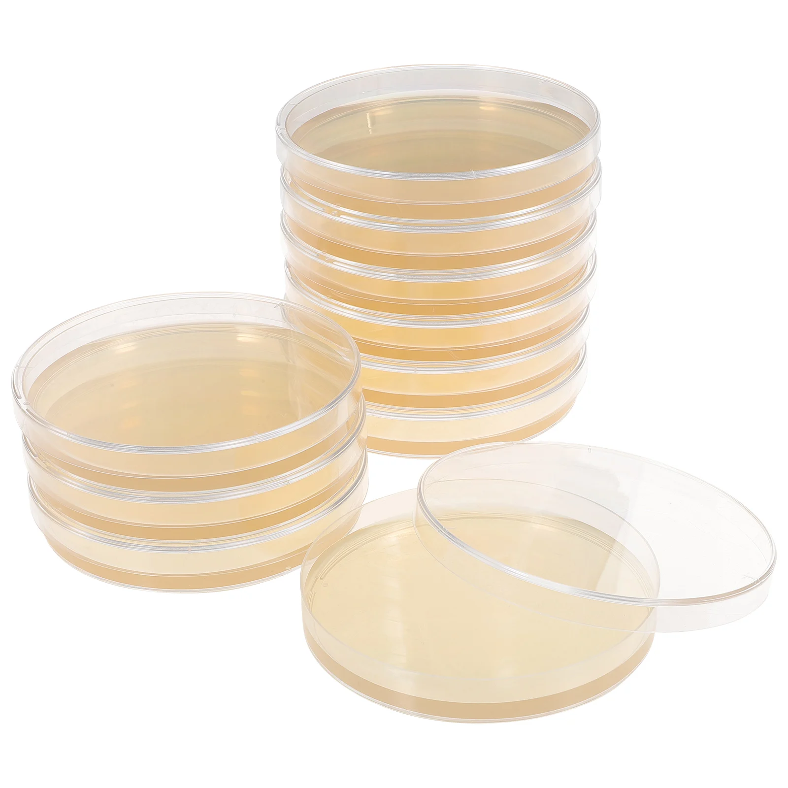 

10pcs Prepoured Agar Plates Agar Petri Dishes Tissue Culture Plate Agar Plates Laboratory Science Experiment Supplies