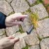 Weeding Sickle with Wooden Handle Crack Weeder Gardening Hand Tools Gardening Sickle for Lawn Patio Terrace Sidewalk Farm 4