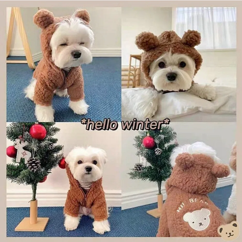 

Pet Hoodie Winter Autumn Puppy Fashion Cartoon Sweater Small Dog Warm Clothes Cat Cute Desinger Jacket Schnauzer Poodle Yorkie