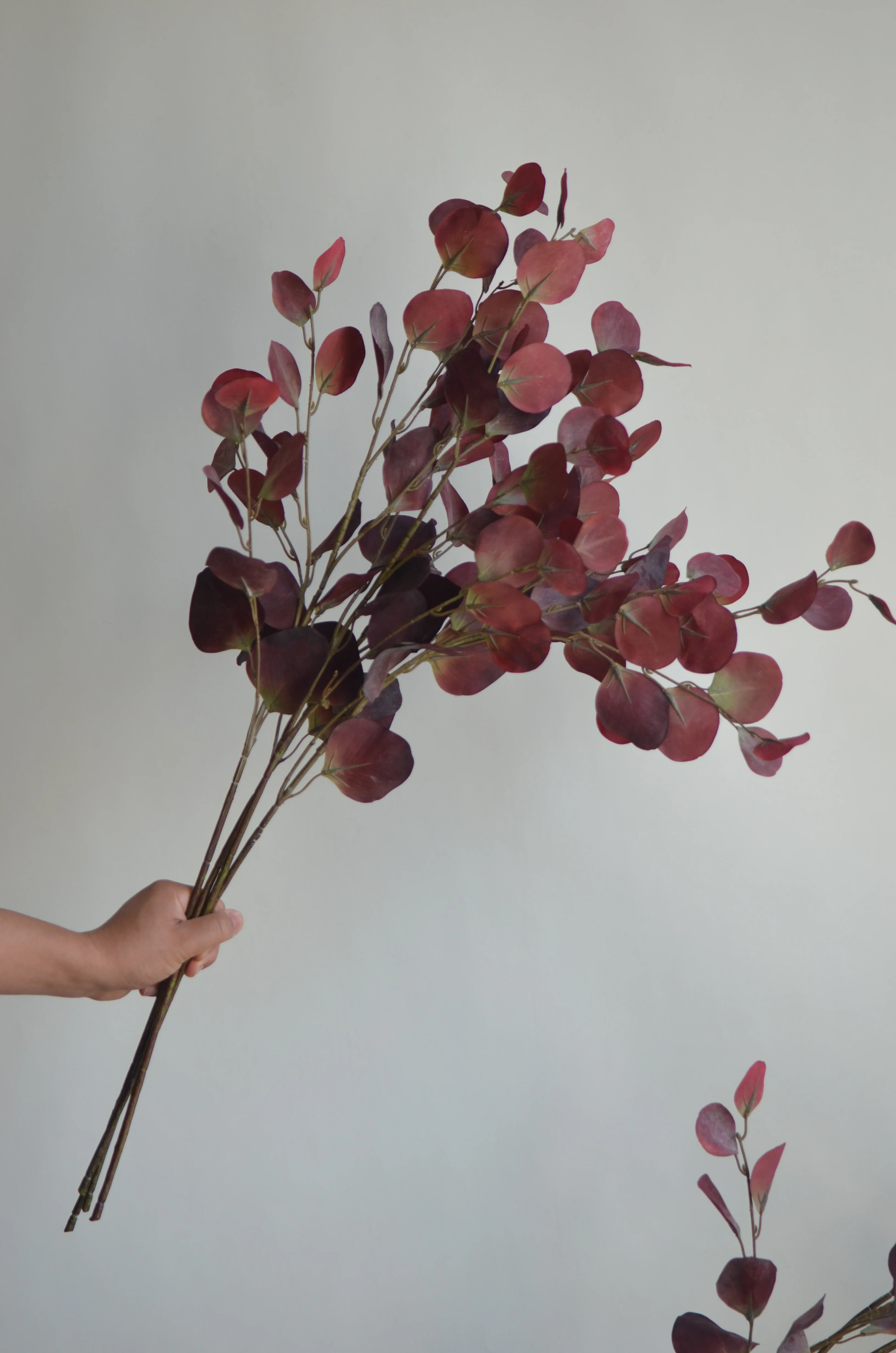 Steli Di Eucalipto Autunnali Artificiali Bordeaux – 6 Pezzi Da 72 Cm, Rami Finti Per Decorazione, Composizioni E Vasi