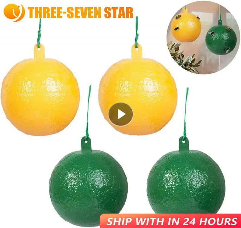 Riutilizzabile Hanging Fly Trap Ball Pest Repeller Killer Hanging On Tree Fruit Fly Catcher Trappola Appiccicosa Fly Pest Control Products