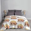 Tsukasa Tenma plush Throw Blanket Tourist Travel Soft Plush Plaid Blankets 4