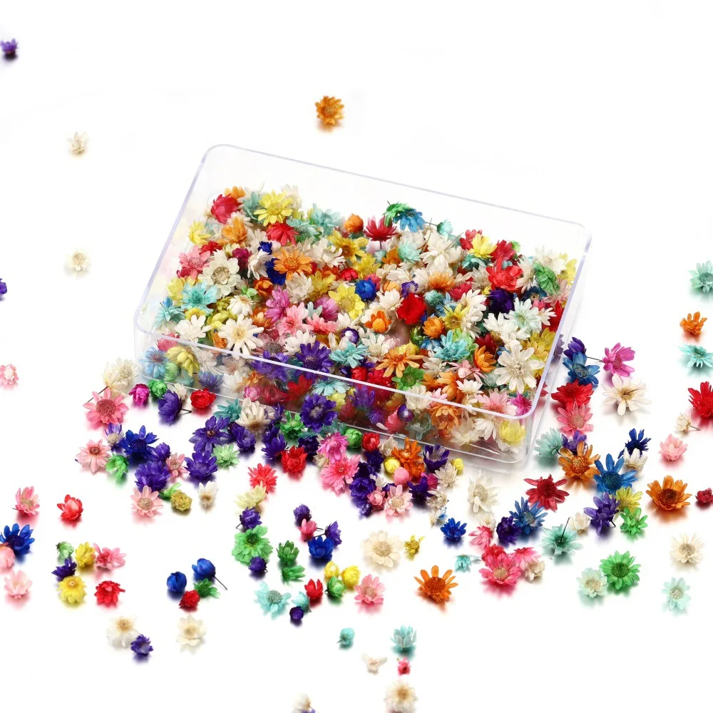 100/200PCS Dried Flowers Brazil Little Star Flower DIY Craft Epoxy Resin Candle Nail Art Epoxy Resin Filling Making Jewellery