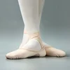 New Girl Women's Professional Full Elastic Cloth Multiple Wearing Way Exercise Dancing Shoe Adult Cat Claw Ballet Dance Shoes 5