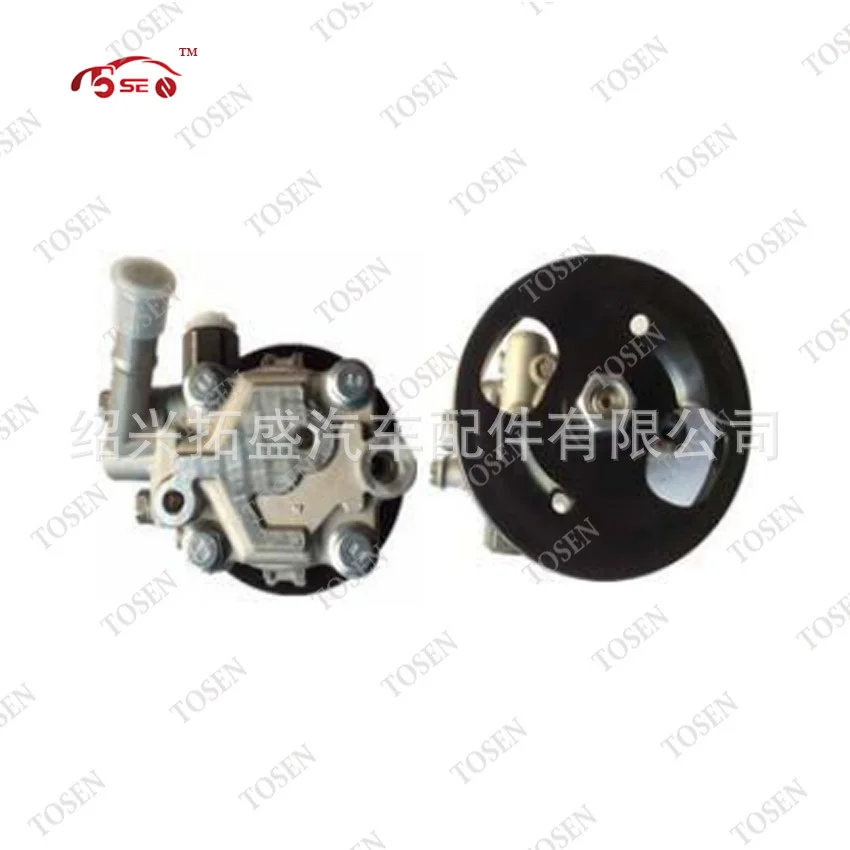 

for Nissan Sunny Power Steering Pump 49110-0m000 49110-1m000 49110-0m005