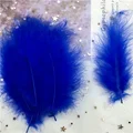 Hot blue 50pcs