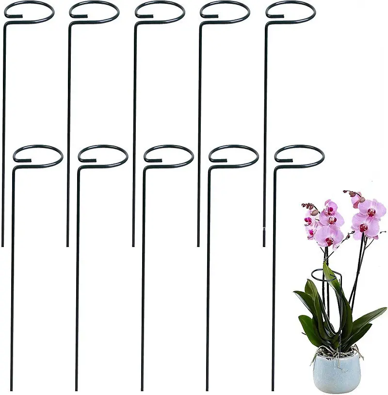 5Pcs 40cm Plant Support Stakes, Garden Single Stem Stake Amaryllis Cage
