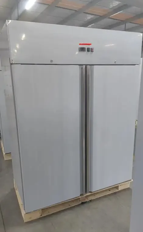 1200L CNJT refrigerator freezer double solid door commercial European upright cabinet for restaurant hotel