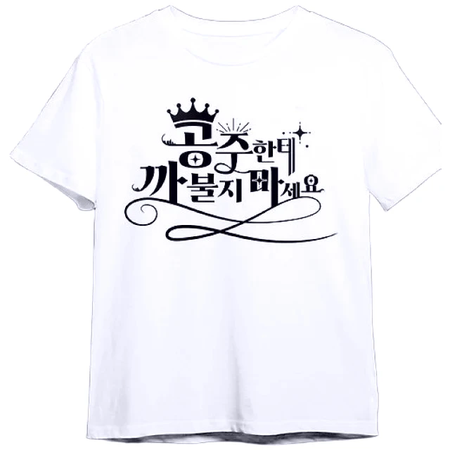 T-shirt K-Girls « Don't Mess with Princess » avec slogan coréen, haut blanc élégant pour les passionnées de K-Fashion, t-shirt Y2K 1