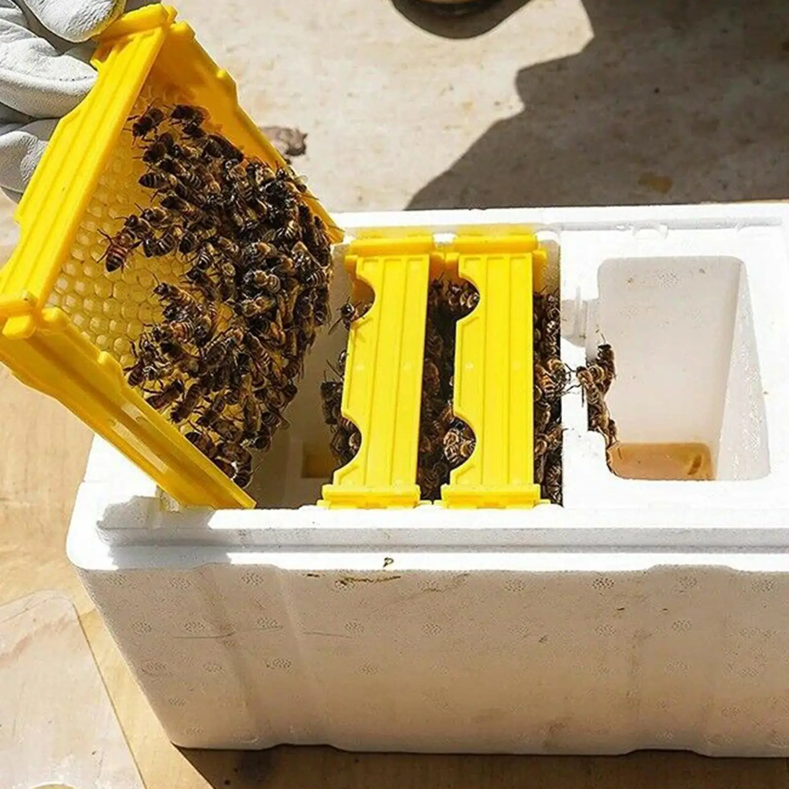 Beekeeping tools Bee breeding box Queen Bee Breeding Box Bee Mating Box Foam Hive Beekeeping Beekeeper Case Equipment Pollination Garden Bree S1G2