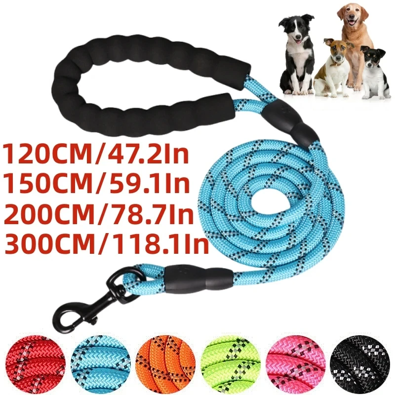 dog leash 1