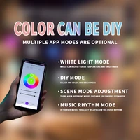10m 20m 30m 12V LED Outdoor String E27 S14 RGBW TUYA APP Controller Waterproof Patio Backyard Holiday Lights Decoration Garden - Image 5