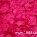 Rose red