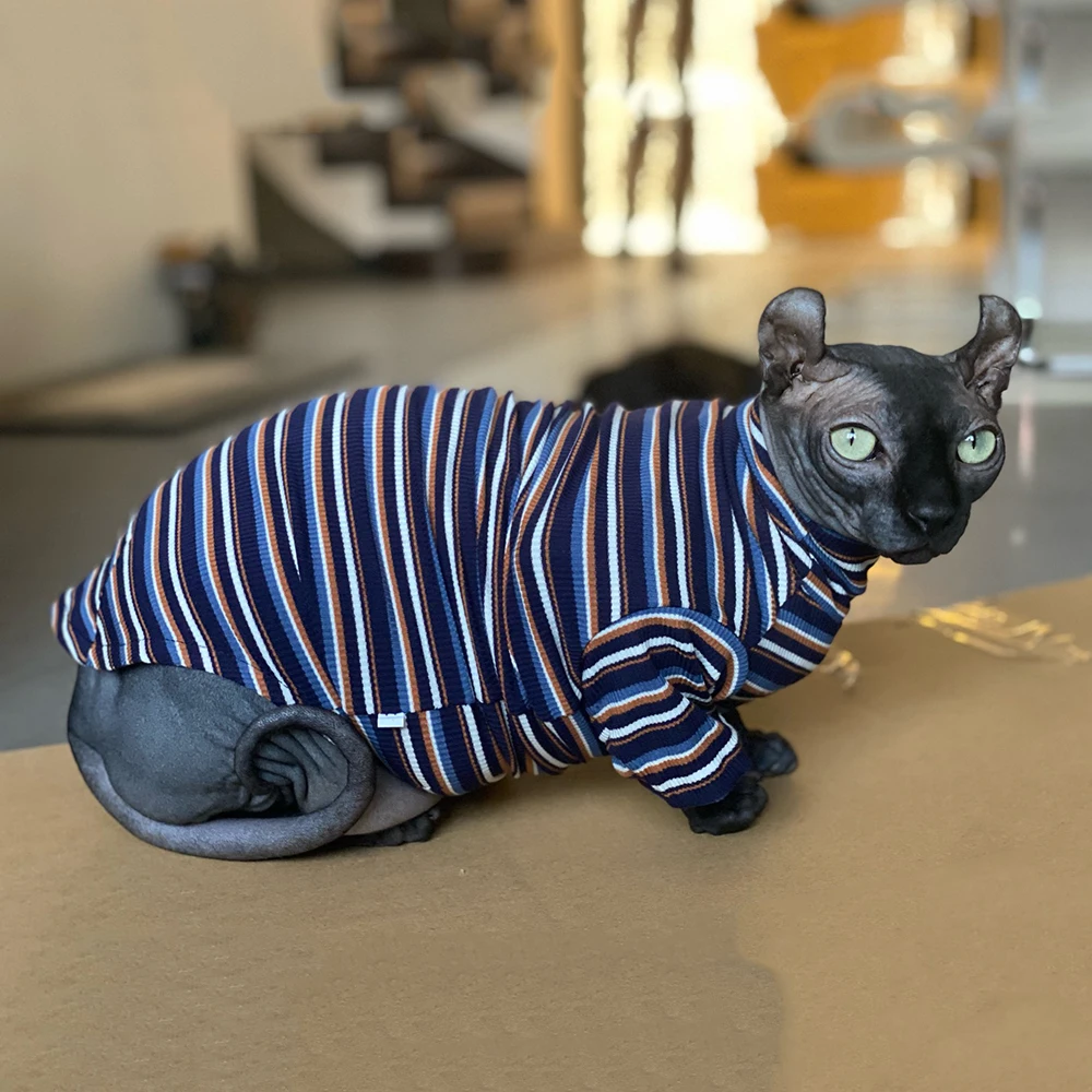 New-Sphinx-Devon-Hairless-Cat-Clothes-For-Kitten-Knitted-Striped-High-Collar-Cat-Clothing-Spring-Autumn.jpg