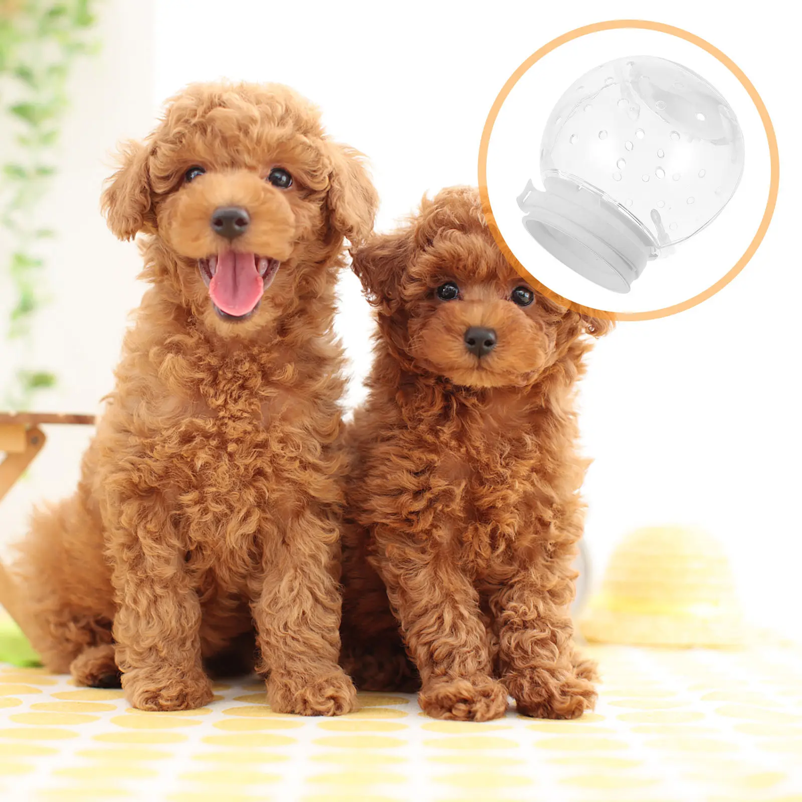 통기성 좋은 새끼 고양이 수술 회복용 투명 보호 헤드 마스크 (씹고 핥는 것을 방지)