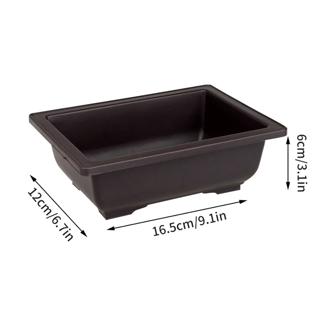 Rectangle-M