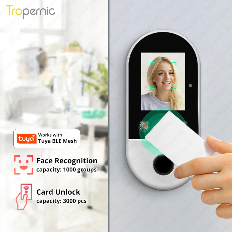 TuyaSmartLifeAppFaceRecognitionDoorLockTimeAttendanceacesso