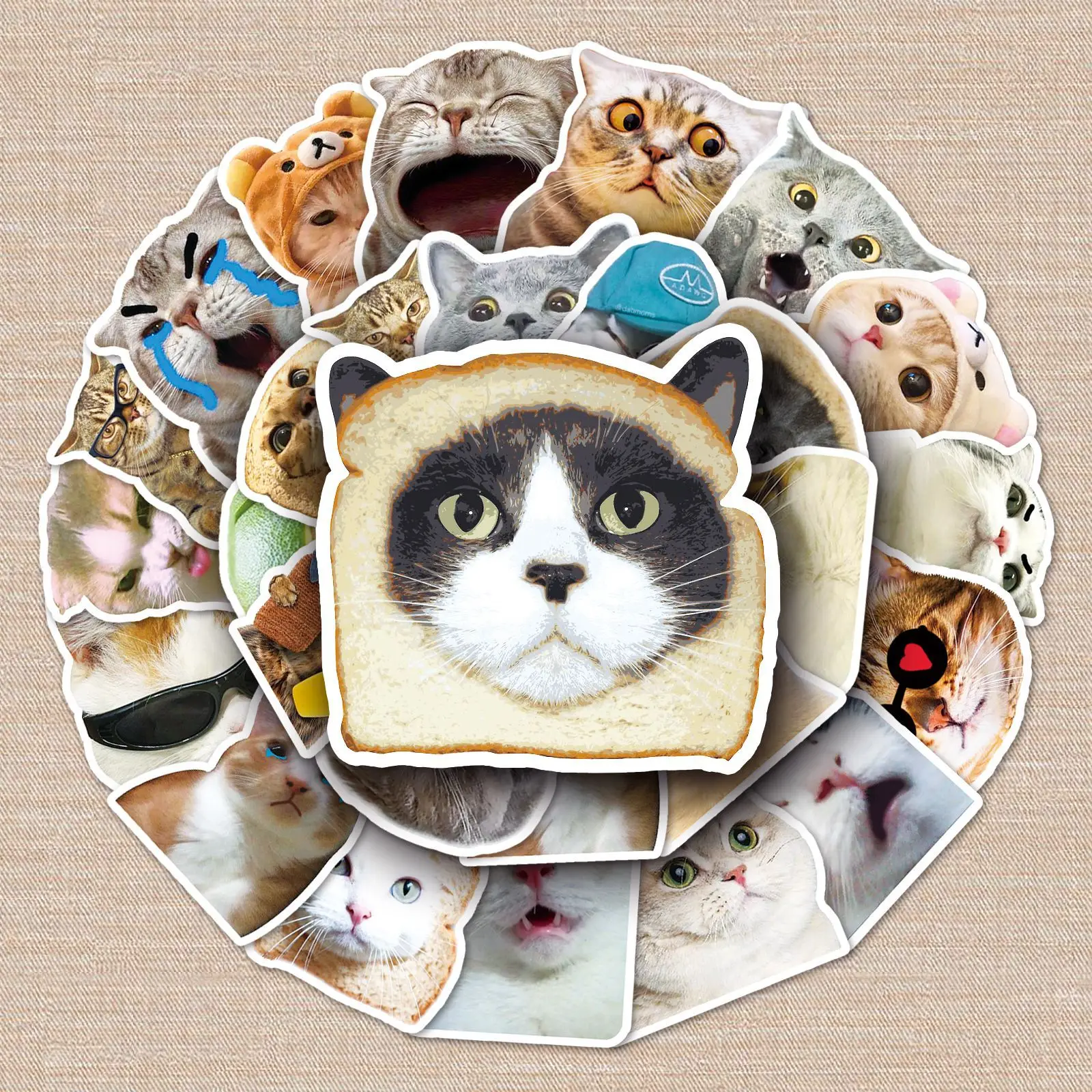 Водостойкие милые наклейки с животными, 50 шт., милые наклейки для домашних животных, клейкие наклейки для ноутбука, скейтборда, детские игрушки
