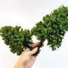 Creative handmade DIY building model Sandtable model tree height 10-28cm model green tree train railway railroad layout 1:87 1