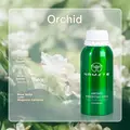 Orchid