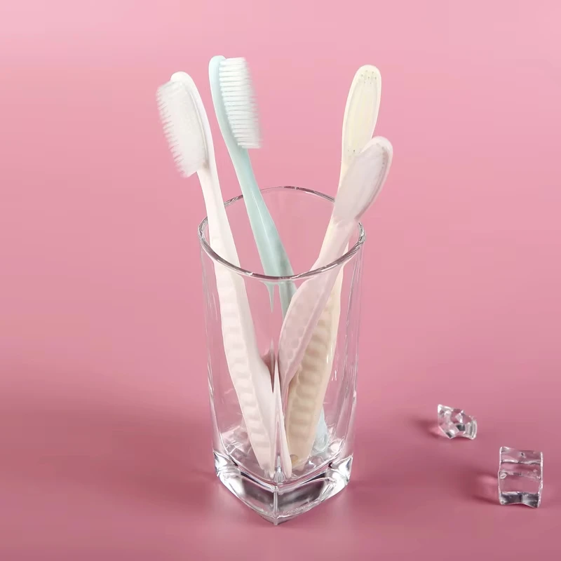Premium Soft Bristle Long Head Toothbrush Set