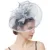 Womens Mesh Veil Hat Hair Clip Elegant Wedding Flower Fascinator Headband Plush Wave Point Bridal Wedding Hairpins Headwear 18