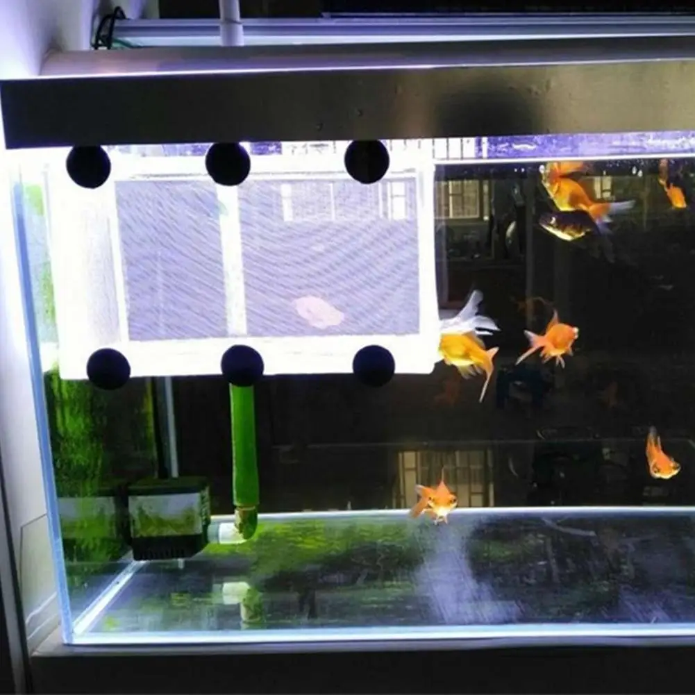 Aquarium Fish Breeding Isolation Box