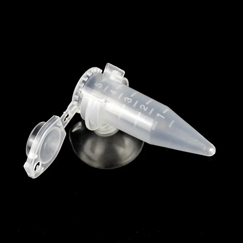 Shrimp egg feeder